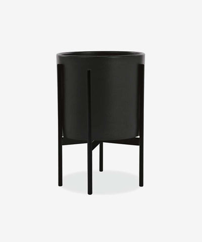 Praesent condimentum lobortis