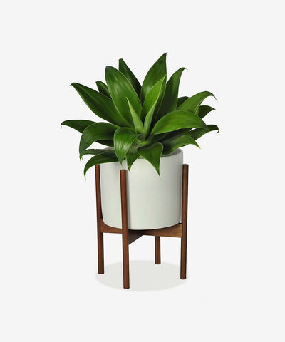 Suspendisse non nisi porttitor